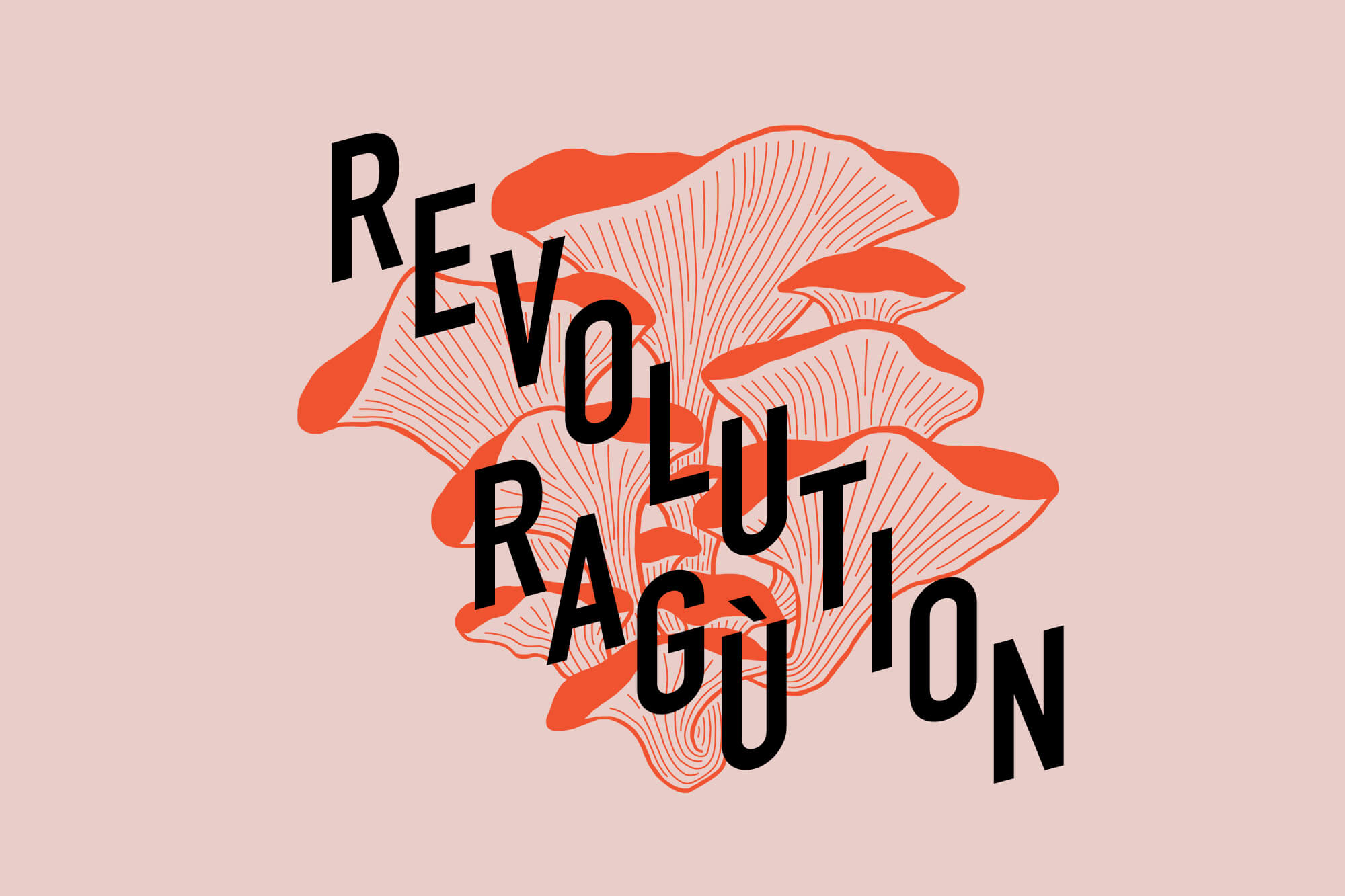 Revolution Ragu & Chilli